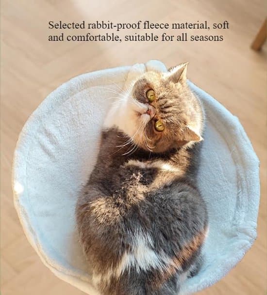 Cat Hammock for Desk - 1 Piece - 40cm Loop Diameter - Soft Fabric Cat Bed - Suitable for Office Desks and Indoor Cat Beds - White