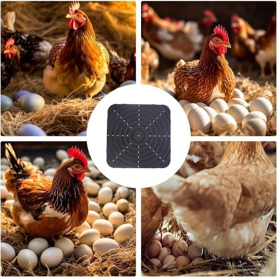 4-pack Chicken Nesting Pads, Washable, 30x30 cm, Black