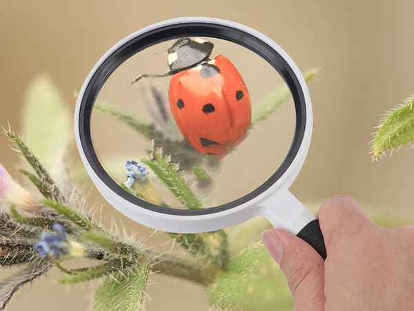 Magnifying Glass 95mm - Magnification x3