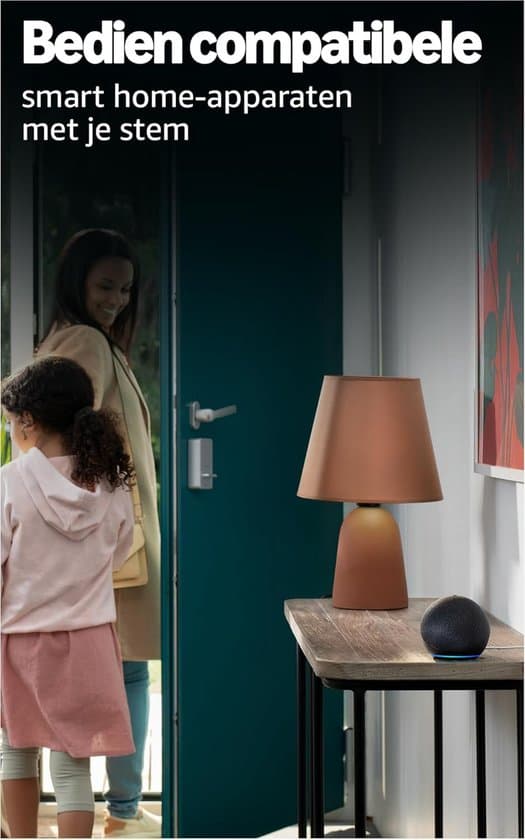 Trådløs Bluetooth-højttaler — Kraftfuld lyd — Smart højttaler med Wi-Fi og Bluetooth-understøttelse — Koksgrå