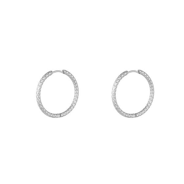 Patterned Stainless Steel Earrings S Silver