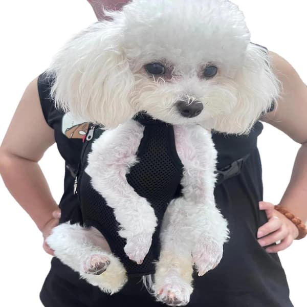 Pet Backpack - Adjustable, Front-Facing Backpack for Cats and Dogs with Extendable Legs. Easy to Take on Travel, Hiking, Camping
