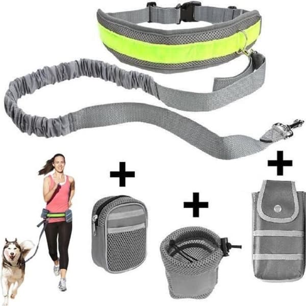 Hundkoppel - Nylon - Handsfree - Magrem - Grå - 144 cm