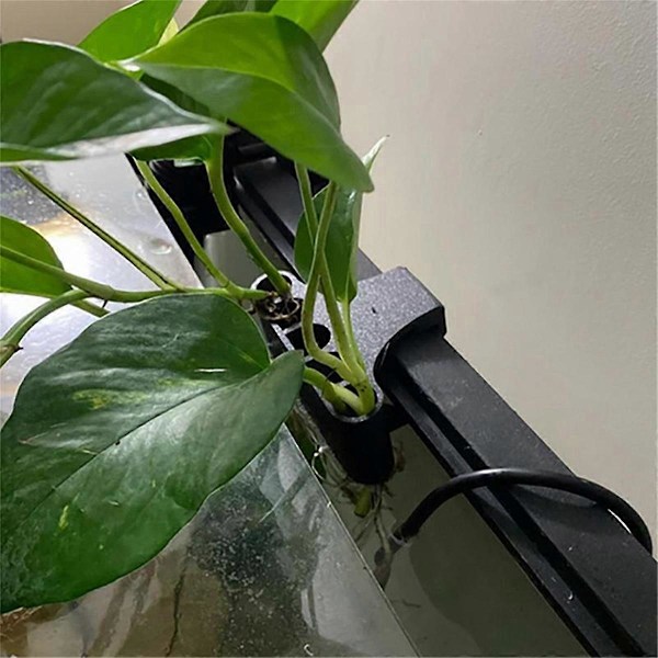 Hengende Akvarie Plantestativ Akvatisk Plantepotte Akvarium Flytende Plante Vannlandskapsdekorasjon