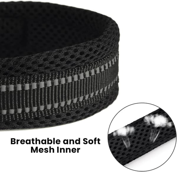 Reflective Dog Leash Green M