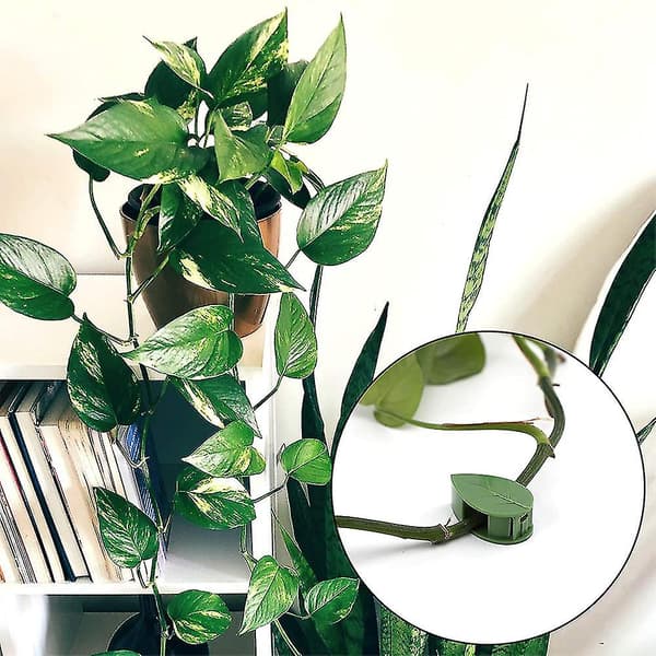 Planteklips, 30 stk. klatreplanter vægmontering bladformede clips