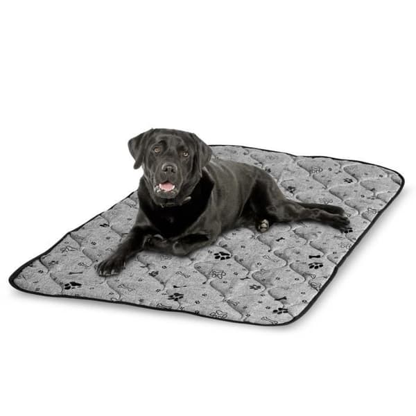 Hundematte - AIO - Prestigematte - Vanntett - 100x70 cm - Grå