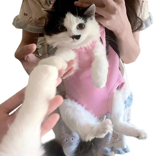 Pet Backpack - Adjustable, Front-Facing Backpack for Cats and Dogs with Extendable Legs. Easy to Take on Travel, Hiking, Camping