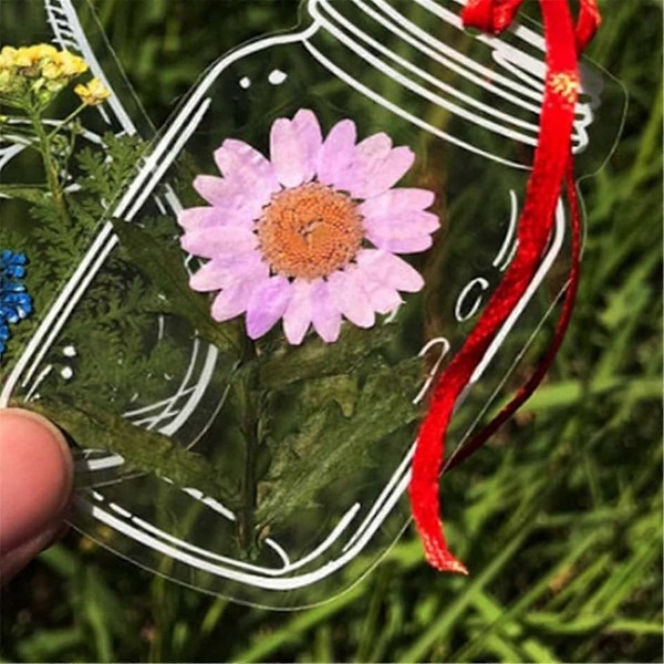 120 st Transparent Torkade Blombokstäcken, Handgjorda DIY Pressade Blommor Bokstäcken, Klara Blomstersidesklämmor Bokstäcken DIY