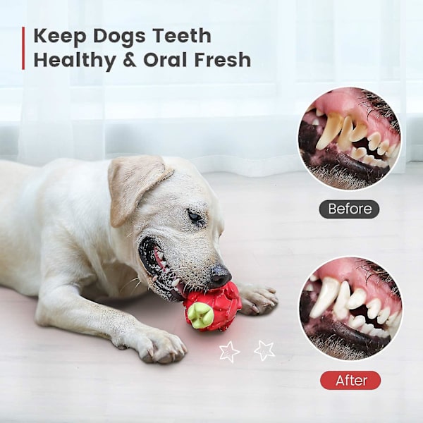 Husdjur tugga och molande pussel gummi mat läckage leksak husdjur leksak hund matare