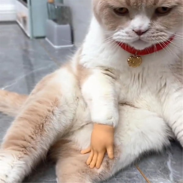 Mini Hånd for Katte, Små Hånd for Katte Krydsede, Små Foldede Hånd for Kattepote