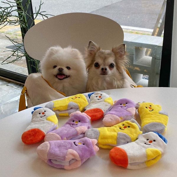 Snuffle hund leksaker squeak plysch strumpor tuggleksak uppmuntrande foderfärdigheter