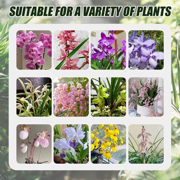 Sæt med 6 blomsterpotter – Plantepotter – Specielle orkidépotter – Hydroponiske potter – Med drænhuller – Inkluderer underskåle – Til edderkoppeplanter, orkideer,