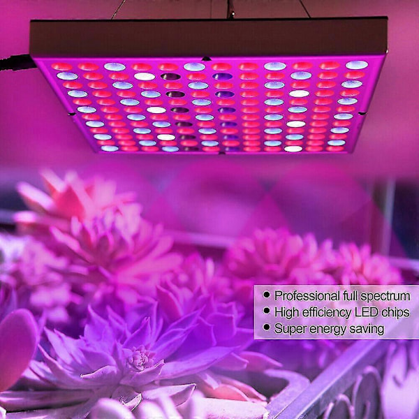 Kasvilamppu 25W/45W LED-kasvilamppu Täyden spektrin kasvilamppu Kasvivalo