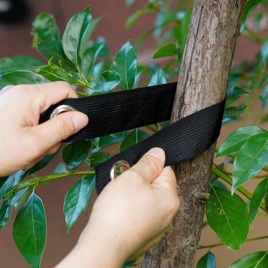 Trebinding sett - Treestøttestropper - Stabiliser trær - Korrosjons- og slitasjebestandige - 40 cm lengde