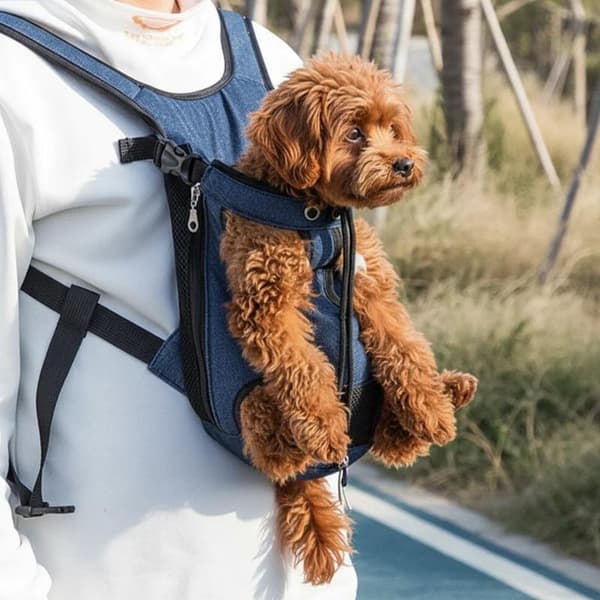 Backpack - Small Dog Backpack - Pet Travel Backpack - Premium Chihuahua - Adjustable Front Backpack - Suitable for Travel and Walking - Adjustable