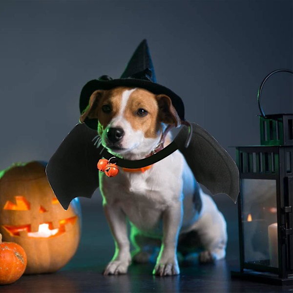 Kissanhalloween-lepakonsiipiasu, halloween pienille lemmikeille musta lepakkoasu koristeeksi pennuille, koirille ja kissoille kelloilla