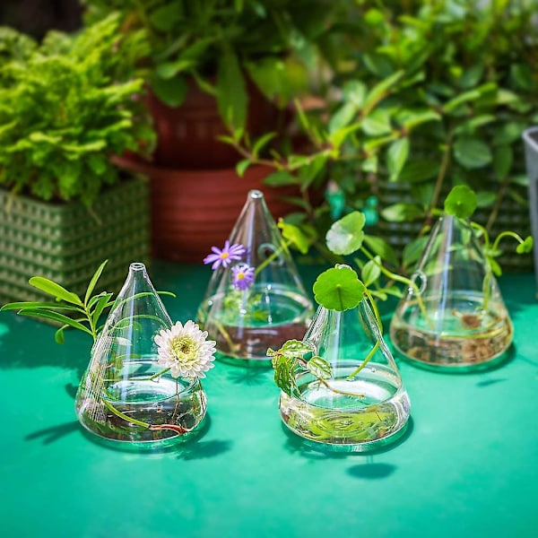 4 stk. Glass Hengende Plantekasser Vann Luft Plantebeholdere Terrarium Lysestake med Snorer Tau fo
