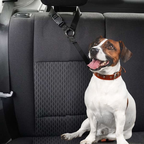 Car Seat Belt Leash for Dog and Cat – Adjustable