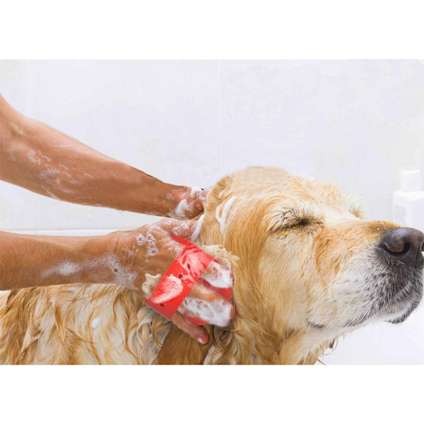 Børste til kæmning af hundehår, kat blød massagekam