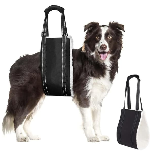 Adjustable dog harness, specially designed for disabled and elderly dogs, provides secure support for small dogs. Dimensions: 53 x 16 cm