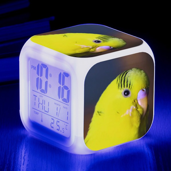 LED Väckarklocka, Barnsäng Väckarklocka, Fyrkantig, Belyst LCD-display stil 1 2025:e