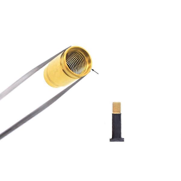 2 st Titanium Cykel Schrader Ventilkapslar Däck Däck Konvertering Gas Dammtäcke Ventil Adapter