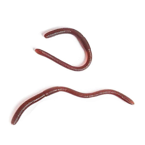 20 st Simulerade Maskar Plast Realistiska Stretchiga Gummi Skämtleksak 2025:e