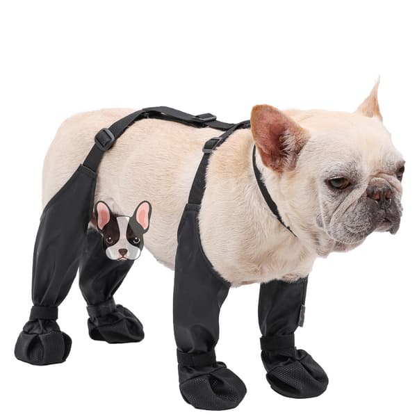 Dog Shoes for Medium to Large Breeds M