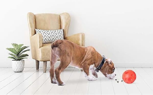 Paw Tricky Treat -pallo, suuri
