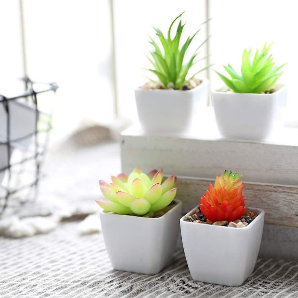 Falske kunstige sukkulentplanter i hvite mini firkantede potter for hjemmehagedekor grønn (4 stk. plastblomsterpotte)