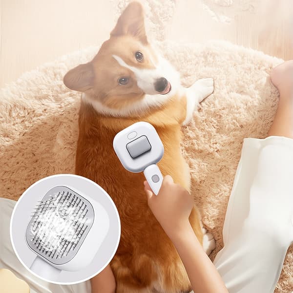 Dampbørste for katt og hund / pelsbørste med UV-lys – USB-lading