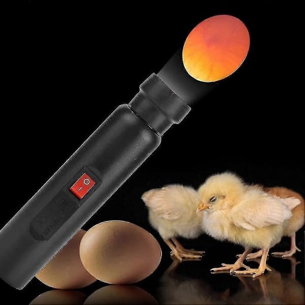 Høyintensitets LED eggtester for overvåking av kyllingkutter egginkubator