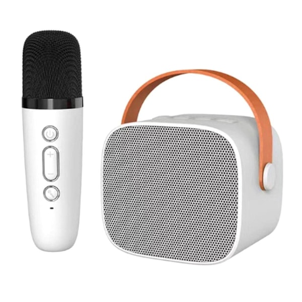 Bluetooth-kaiutin yhdellä langattomalla mikrofonilla, mikrofoni, musiikkisoitin aikuisille ja lapsille, subwoofer-järjestelmä W