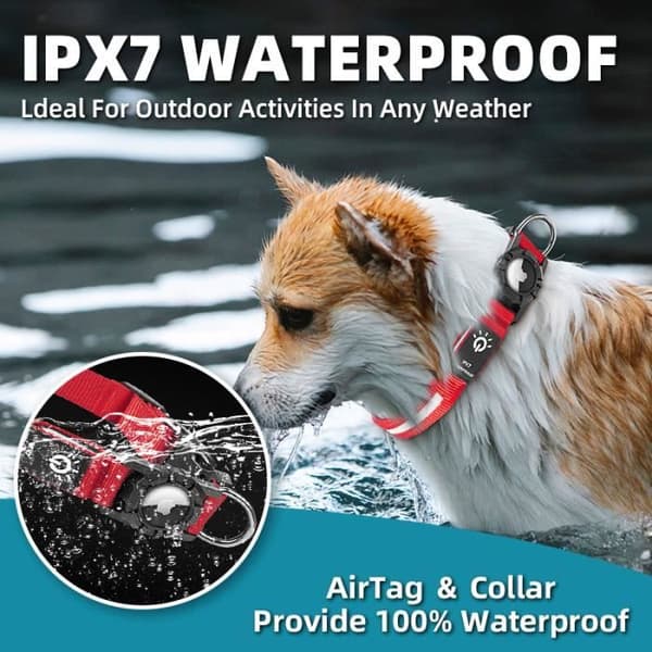 Safety Collar - Rechargeable, Luminous - Waterproof - Adjustable Size - Red LEDs - 30-39 x 2.5 cm - Red