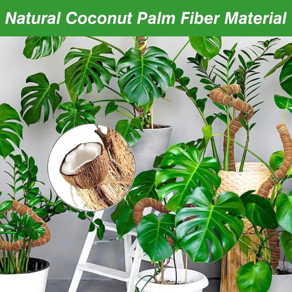 st - 60cm - Växtstöd - Vikbart växtstöd - Klätterväxtpinne - Monstera-stakar