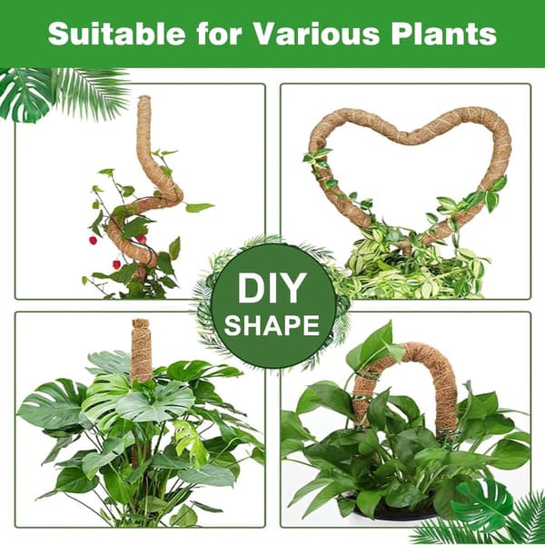 st - 60cm - Växtstöd - Vikbart växtstöd - Klätterväxtpinne - Monstera-stakar