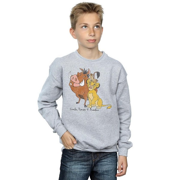 Leijonakuninkaan Poikien Klassinen Simba Timon & Pumba Huppareita 7-8 vuotta Urheilun Harmaa Sports Grey 7-8 Years