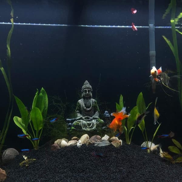 Buddha-statue for akvarium - Akvariedekorasjon