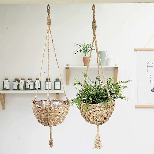 Utomhus hängande blomkrukor inomhusväxter hängande korg blomkruka