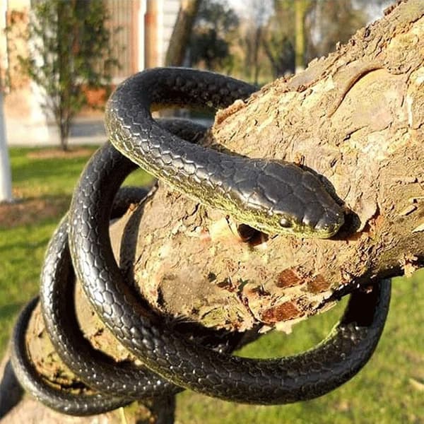 Realistic Rubber Snake, 130 cm Long Prank Fake Snake