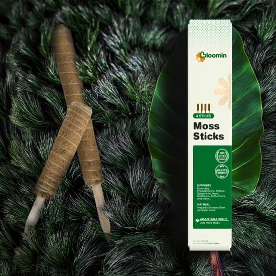 Kokosfiber-moss-stång för växter Monstera, utdragbart växtstöd upp till 150 cm, rötresistent klätterstång, 4-pack 50 cm