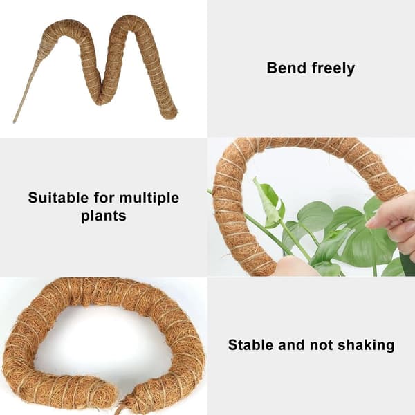 st - 60cm - Växtstöd - Vikbart växtstöd - Klätterväxtpinne - Monstera-stakar