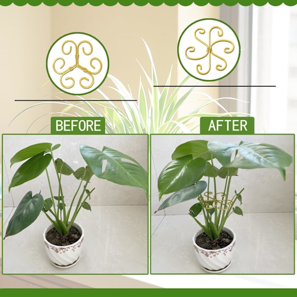 6-pack Monstera Växtstöd Kit - Rostfritt Växtstöd, Bladklämmor (3 Hjärtformade + 3 Blomdesign) Lättanvänd Skonsam Gripteknik