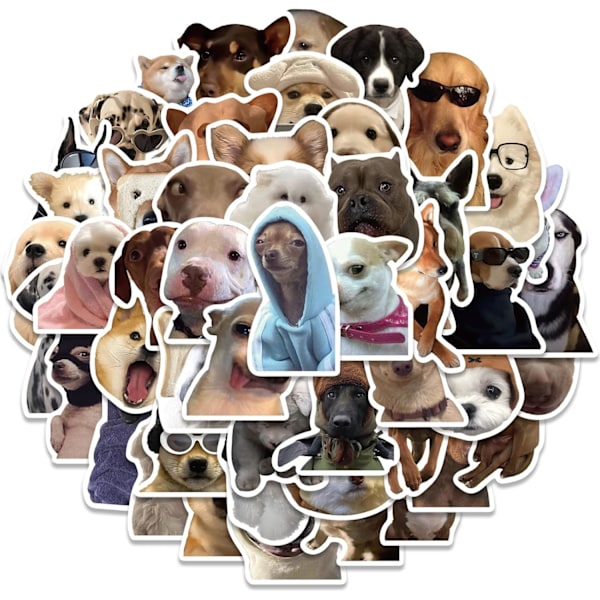 50 st Funny Animal Dogs Meme Stickers för Laptop Vattenflaska, Vinyl Vattentäta Graffiti Dekaler för Bagage Gitarr Telefon, Vuxna Tonåringar Present