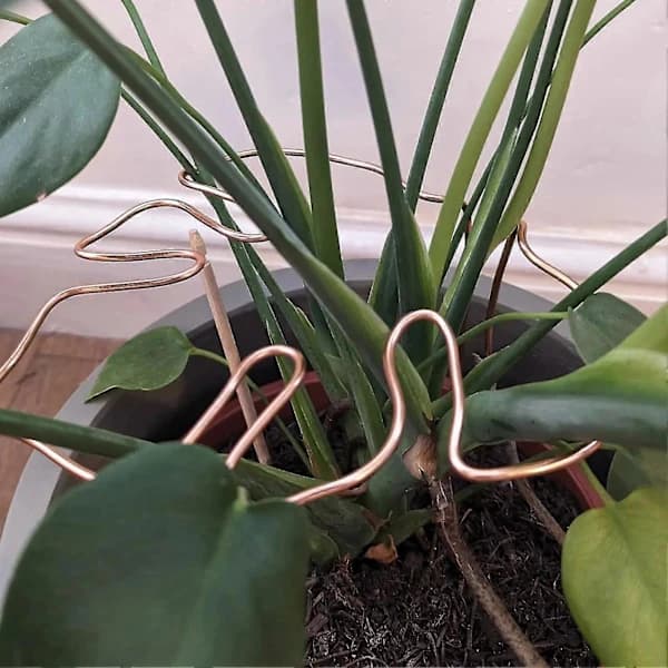 Monstera Växtstöd Aluminium Lövformad Växtbur för Inomhus Utomhus Krukväxter Klätterväxter Koppar copper