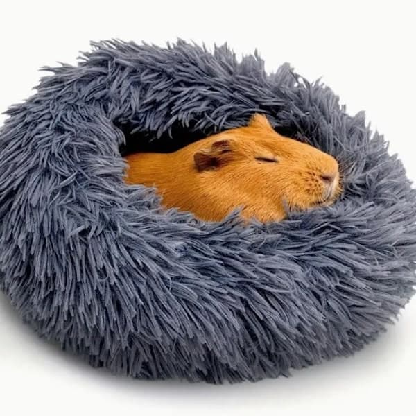 Digging Pet Bed for Guinea Pigs and Other Small Animals (Dark Grey)