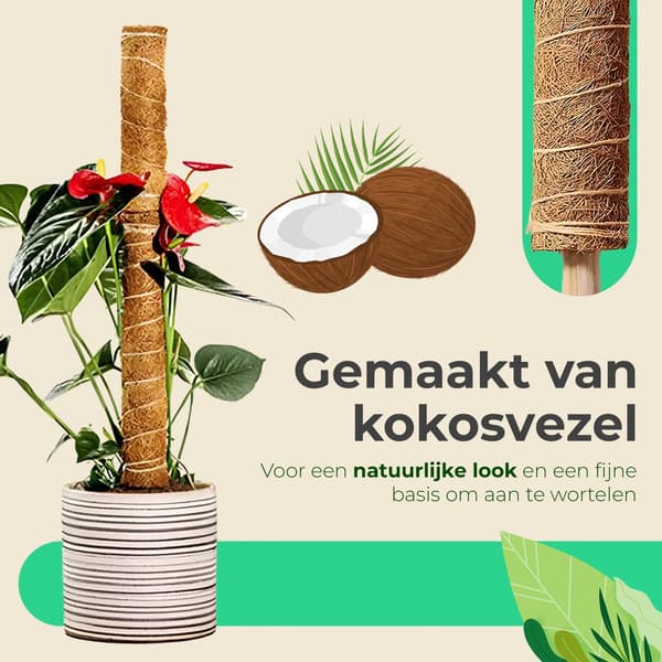Kokosfiber-mossstång för klätterväxter, 2-pack 40 cm utdragbara växtstöd för inomhusväxter som Monstera och Gullranka