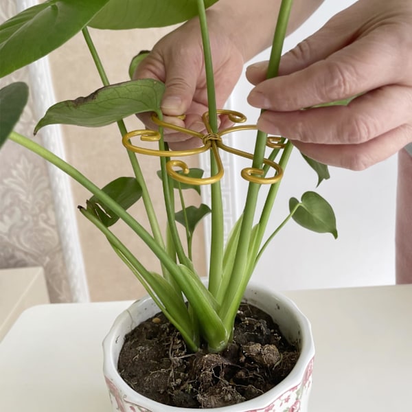 6-pack Monstera Växtstöd Kit - Rostfritt Växtstöd, Bladklämmor (3 Hjärtformade + 3 Blomdesign) Lättanvänd Skonsam Gripteknik