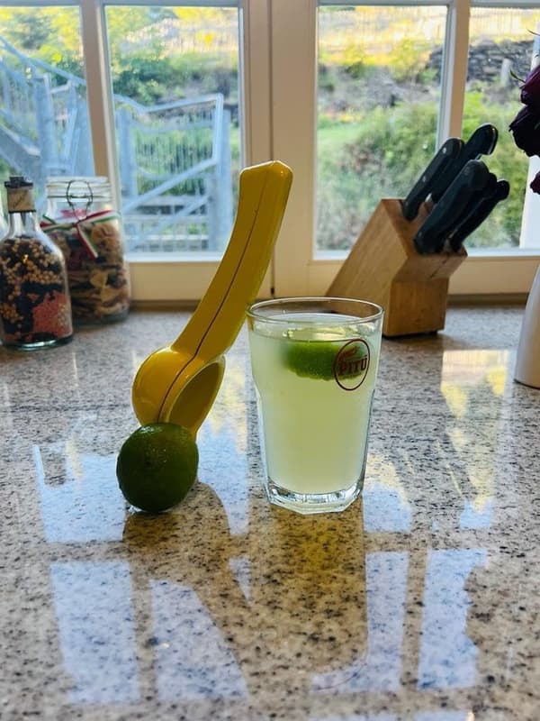 Citronpress Premiumkvalitet H& Juicer - Citronpress